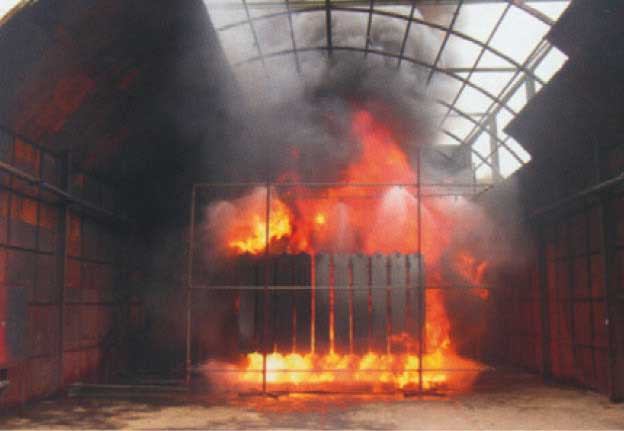 Feuer vor der Wassernebel Löschung